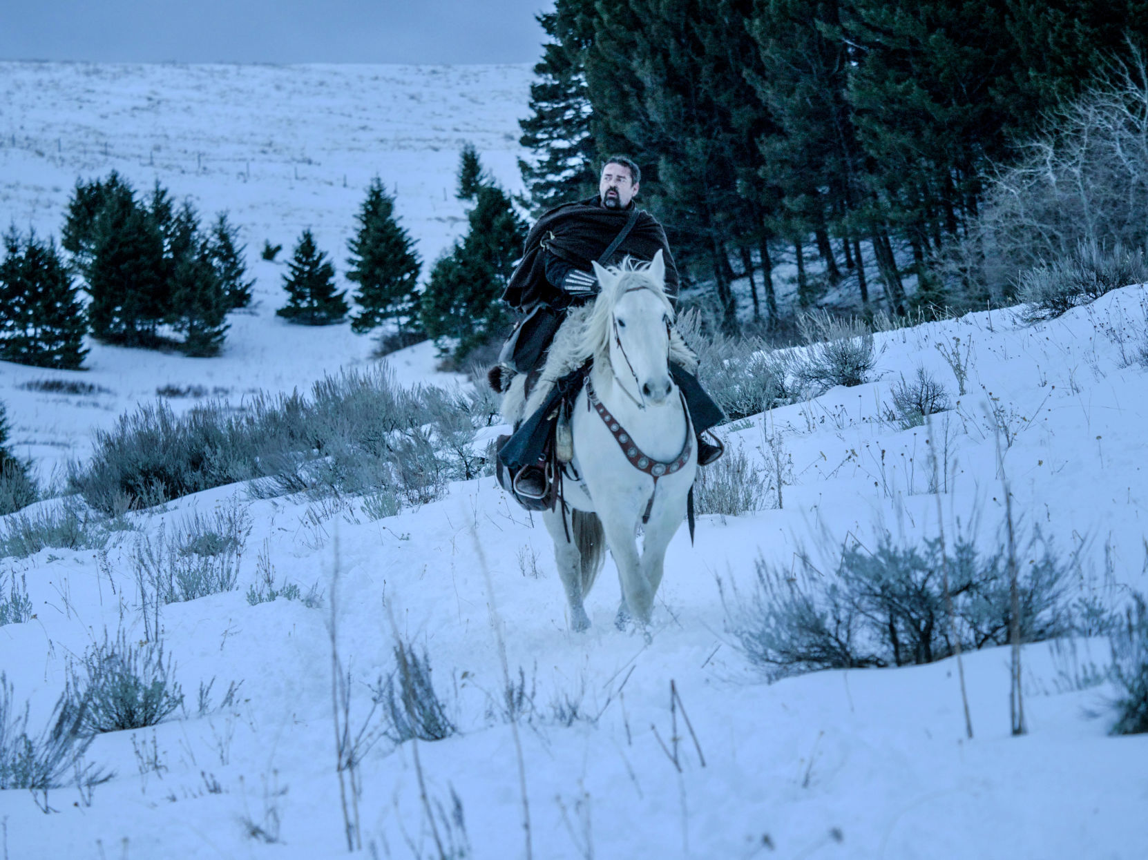 "Robert the Bruce"
